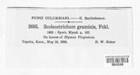 Image Associated With the Occurence